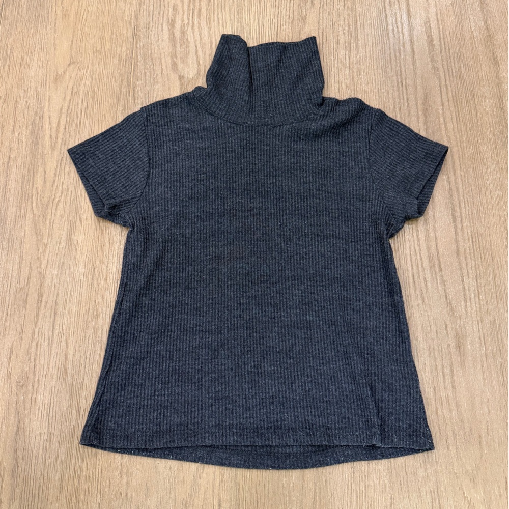 Brandy Melville John Galt Turtleneck Short Sleeve Sweater Cropped